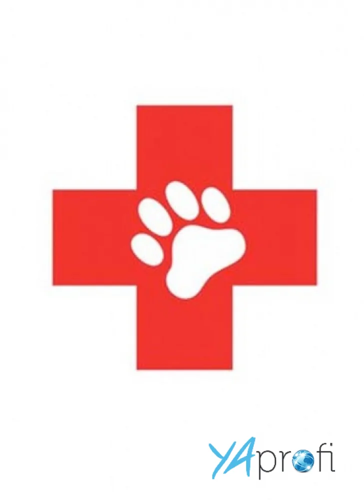 Гостиница для животных "Canic-клуб"