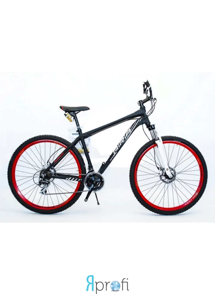 Велосипед горный BIRIA by MIFA 29