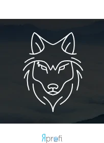 Аутсорсинг Компании Компания LK