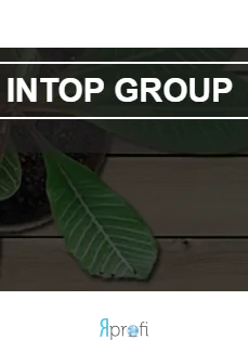 INTOP GROUP