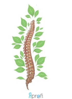 Академия здоровья