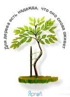  Студія здоров'я "Наша опора"