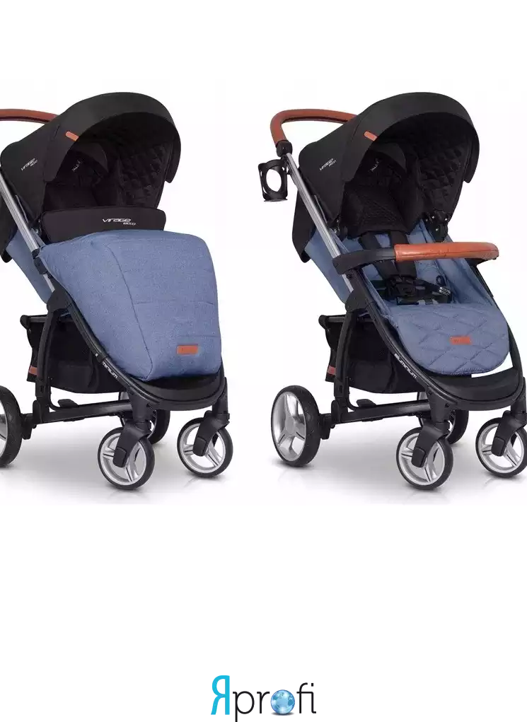 Прогулочная коляска EasyGo Virage Ecco