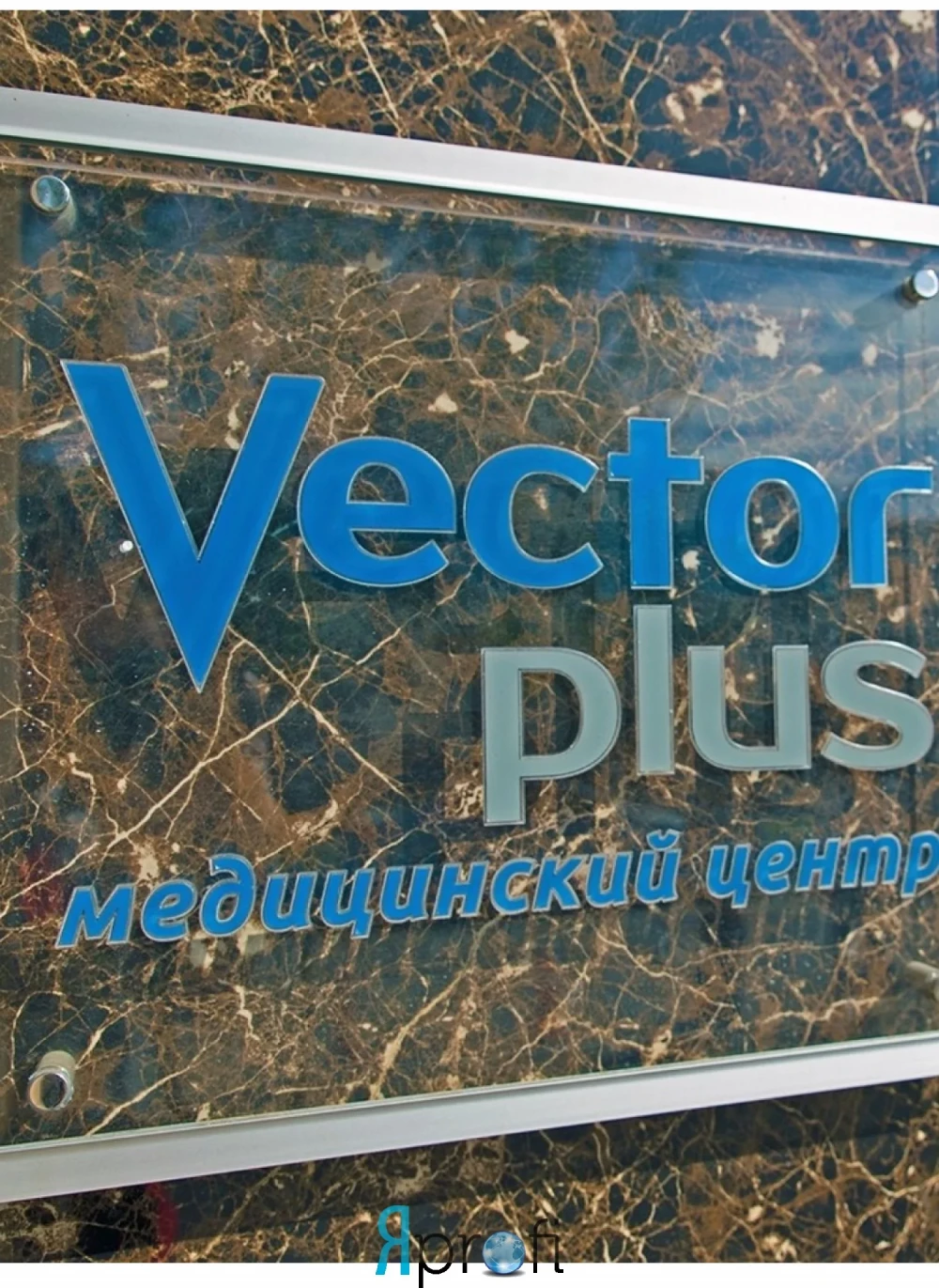 Клиника “Вектор Плюс”