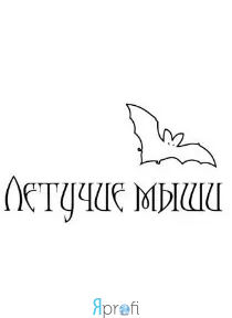 "Летучие Мыши" Pole Sport