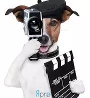 SELFIE VideoStudio