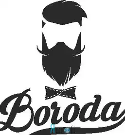 Boroda Cinema