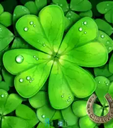 Студія "Good Luck"