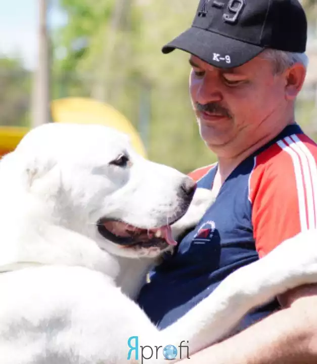 Андрей Ларин