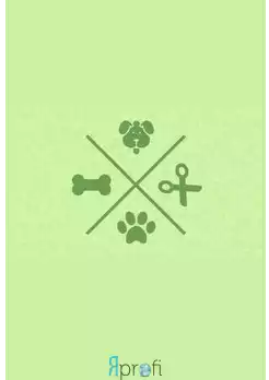 Перший приватний центр грумингу "Bulldog-zp"