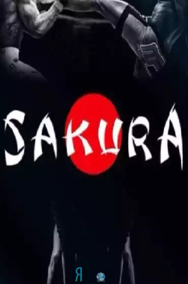 Спортивный клуб "Сакура"