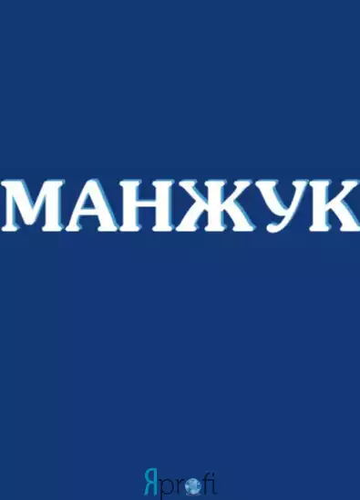 Бригада "Манжук"