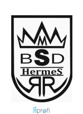 Компания "БСД-ГЕРМЕС""
