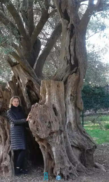 Игнатенко Лариса Александровна 