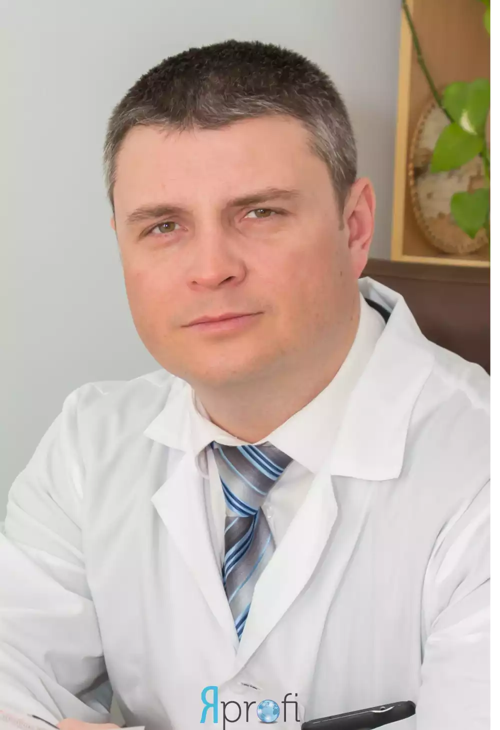 Весельский Артем (Мотор Сич)