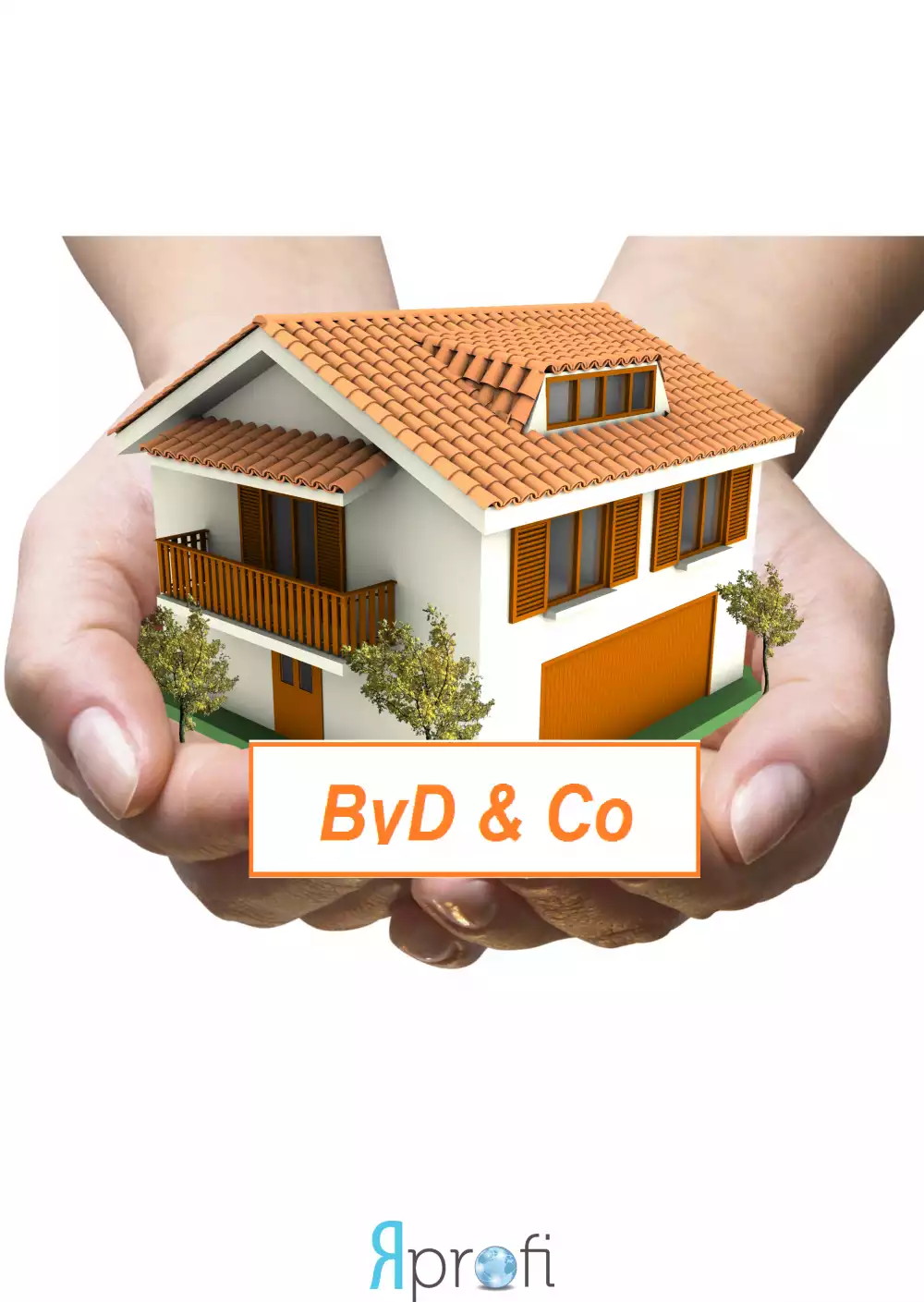 Бригада "Byd&Co"