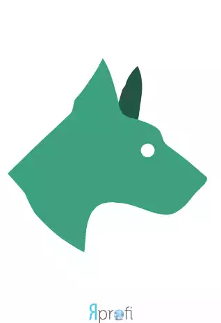 Команда "Кинолог"