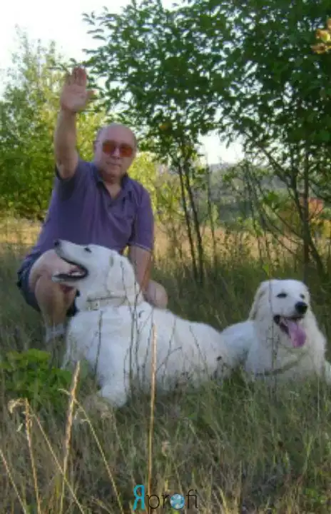 Юрий Викторович 