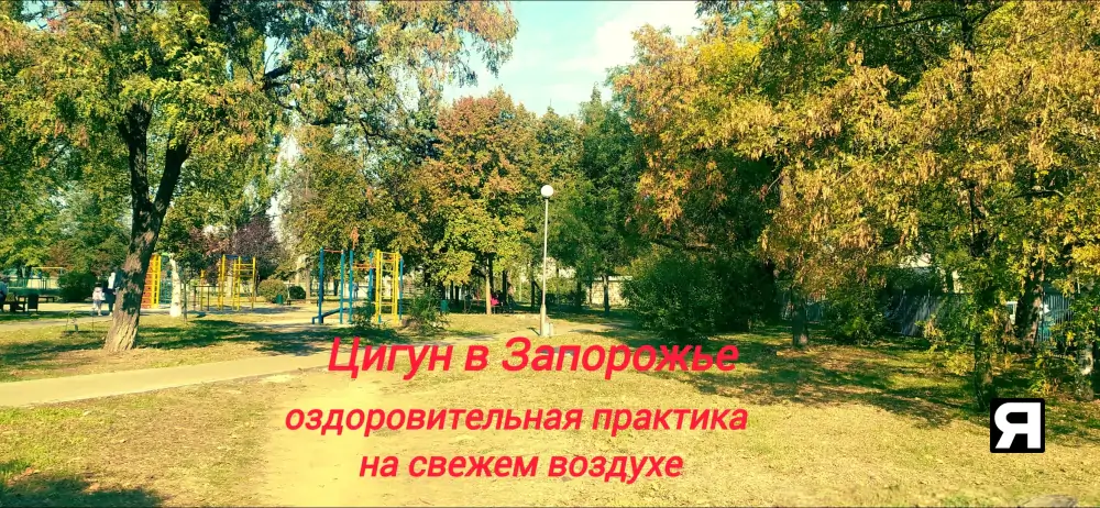 Цигун Фалуньгун