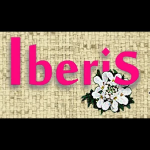 Iberis