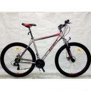 Горный велосипед Azimut Vader 29 GD 21 рама