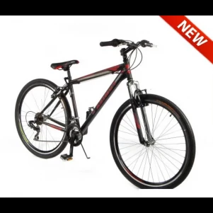 Горный велосипед Azimut Energy 29 GV (19 рама) 
