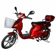 Электровелосипед Azimut FLH-001 (350W/48V)