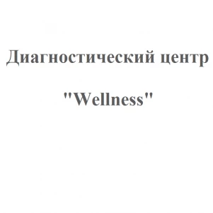 Диагностический центр "Wellness"
