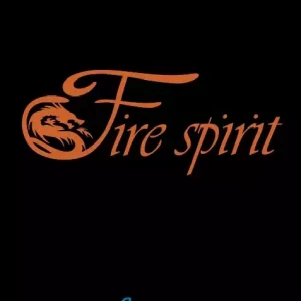 Театр огня и света «Fire Spirit»