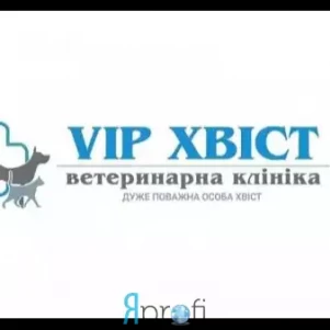 Ветеринарная клиника "VIP Хвост"